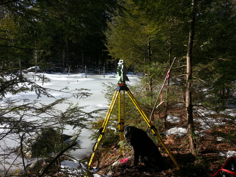 Conservation easement survey for the town of Auburn, NH with my rod dog "Chewy"
